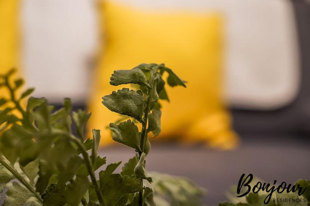 Spacious 2Br-1Ba - Grassmarket - Free Parking By Bonjour Residences Единбург Екстер'єр фото